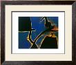 Dones Ocell by Joan Miro Limited Edition Pricing Art Print