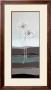 Flowers In Silver Ii by Horst Jonas Limited Edition Print