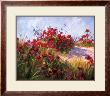 Red Poppies And Wild Flowers by Brigitte Curt Limited Edition Pricing Art Print