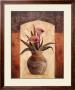 Galla Lilies by Carol Robinson Limited Edition Print