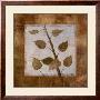 Birch by Cheryl Martin Limited Edition Pricing Art Print