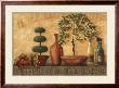 Italian Topiary Still Life by Kristy Goggio Limited Edition Pricing Art Print