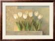 White Tulips by Albena Hristova Limited Edition Pricing Art Print