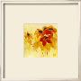 Sunshiny I by Jettie Rosenboom Limited Edition Print