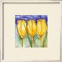 Three Yellow Tulips by Alfred Gockel Limited Edition Pricing Art Print
