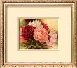 A Sweet Memory I by Igor Levashov Limited Edition Print