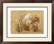 Collection Of Orchids by Cheri Blum Limited Edition Pricing Art Print