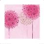 Pink Alliums by Richard Barrett Limited Edition Pricing Art Print