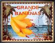 Grande Bananas by Miles Graff Limited Edition Print