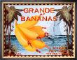 Grande Bananas by Miles Graff Limited Edition Pricing Art Print