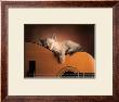 Sleeping Soundly by Xavier Chantrenne Limited Edition Print