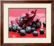 Huckleberries by Sara Deluca Limited Edition Print