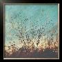 Wild Grass Ii by Amy Melious Limited Edition Print