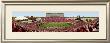 Texas Tech Universty by Christopher Gjevre Limited Edition Pricing Art Print
