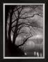 Le Pont Neuf, C.1932 by Brassai Limited Edition Print