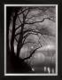 Le Pont Neuf, C.1932 by Brassaï Limited Edition Pricing Art Print