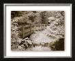 Upper Peninsula I by Monte Nagler Limited Edition Print