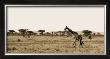 Serengeti Horizons Ii by Boyce Watt Limited Edition Print