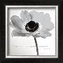 Poppy Love by Deborah Schenck Limited Edition Pricing Art Print