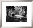 Path Into The Woods, Burgundy by Monte Nagler Limited Edition Print