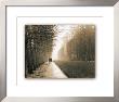 Park At Versailles by Connie Wellnitz Limited Edition Print