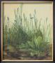 Large Turf by Albrecht Durer Limited Edition Pricing Art Print