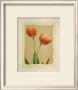 Tangerine Tulips I by Linda Maron Limited Edition Pricing Art Print