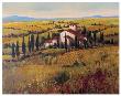 Tuscany Iii by Tim O'toole Limited Edition Print