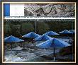 The Blue Umbrellas, 1991 by Christo Limited Edition Pricing Art Print