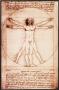 Vitruvian Man by Leonardo Da Vinci Limited Edition Pricing Art Print