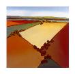 The Plains 1 by Don Bradshaw Limited Edition Print