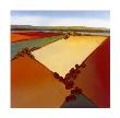 The Plains 1 by Don Bradshaw Limited Edition Pricing Art Print