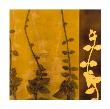 Vines 10 by Mary Margaret Briggs Limited Edition Print