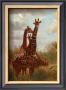 African Giraffes by Emilie Gerard Limited Edition Pricing Art Print