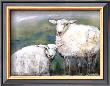 Sheep by Silvana Crefcoeur Limited Edition Print