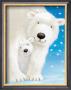 Fluffy Bears I by Alison Edgson Limited Edition Print