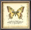 Butterfly And Wildflowers I by Jennifer Goldberger Limited Edition Print