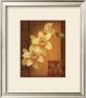 Cymbidium Orchid Ii by Debbie Cole Limited Edition Pricing Art Print