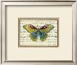 Butterfly Harmony I by Albertus Seba Limited Edition Pricing Art Print