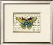 Butterfly Harmony I by Albertus Seba Limited Edition Print