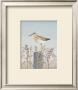 Bird's Eye Sea View by Jurgen Gottschlag Limited Edition Print