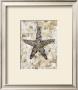 Pearlized Starfish by Regina-Andrew Design Limited Edition Pricing Art Print