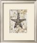 Pearlized Starfish by Regina-Andrew Design Limited Edition Print
