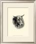 Antique Cattle Ii by F. Lehnert Limited Edition Pricing Art Print