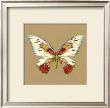 Solitary Butterfly I by Jennifer Goldberger Limited Edition Print