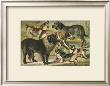 Dog Breeds Iii by Henry J. Johnson Limited Edition Print