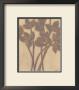 Gilded Grey Leaves Ii by Norman Wyatt Jr. Limited Edition Print