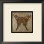 Brown Butterfly by Patricia Quintero-Pinto Limited Edition Print