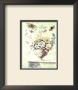 Floral Urn by T. Robins Limited Edition Print