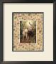 Safari, Elephant by T. C. Chiu Limited Edition Print